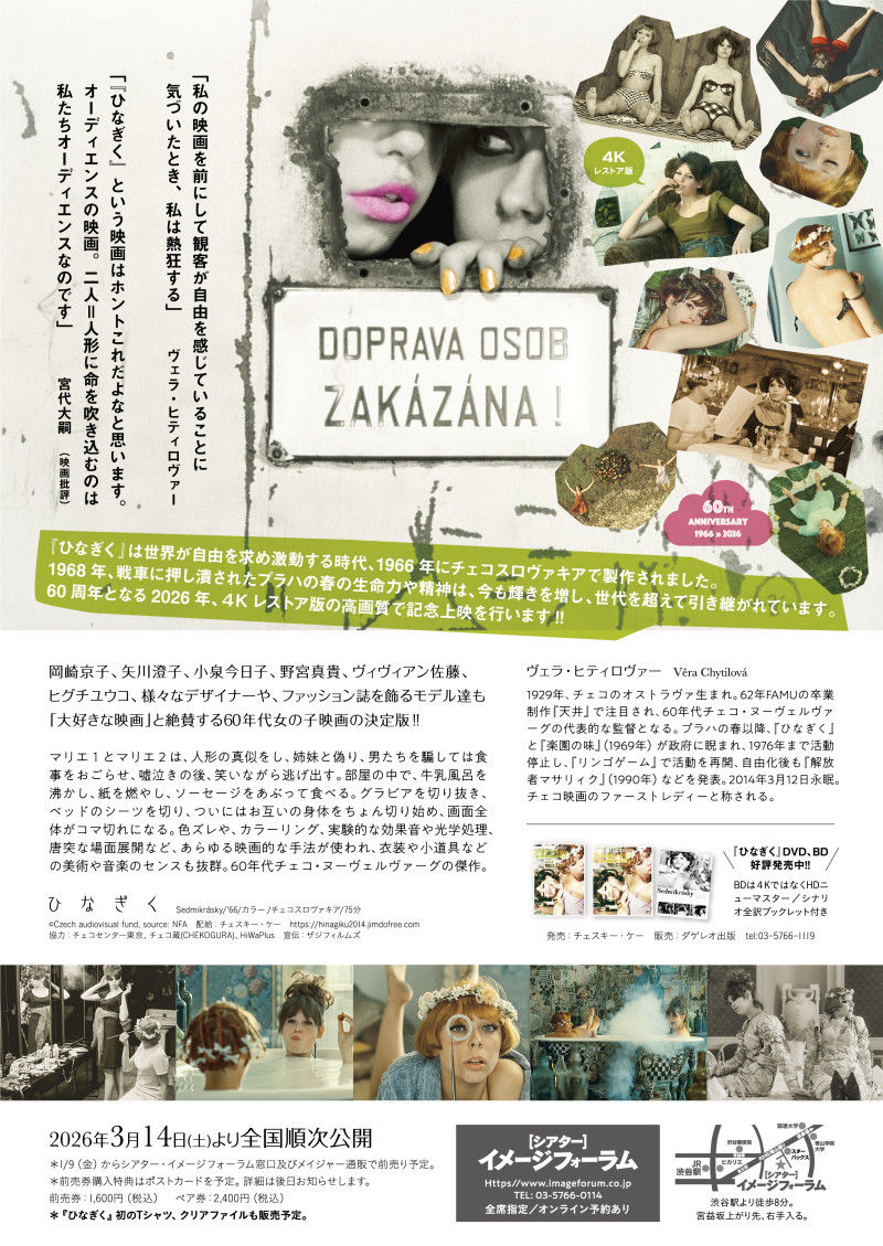 ひなぎく 4Kレストア版』全国ロードショー / チェコセンター東京