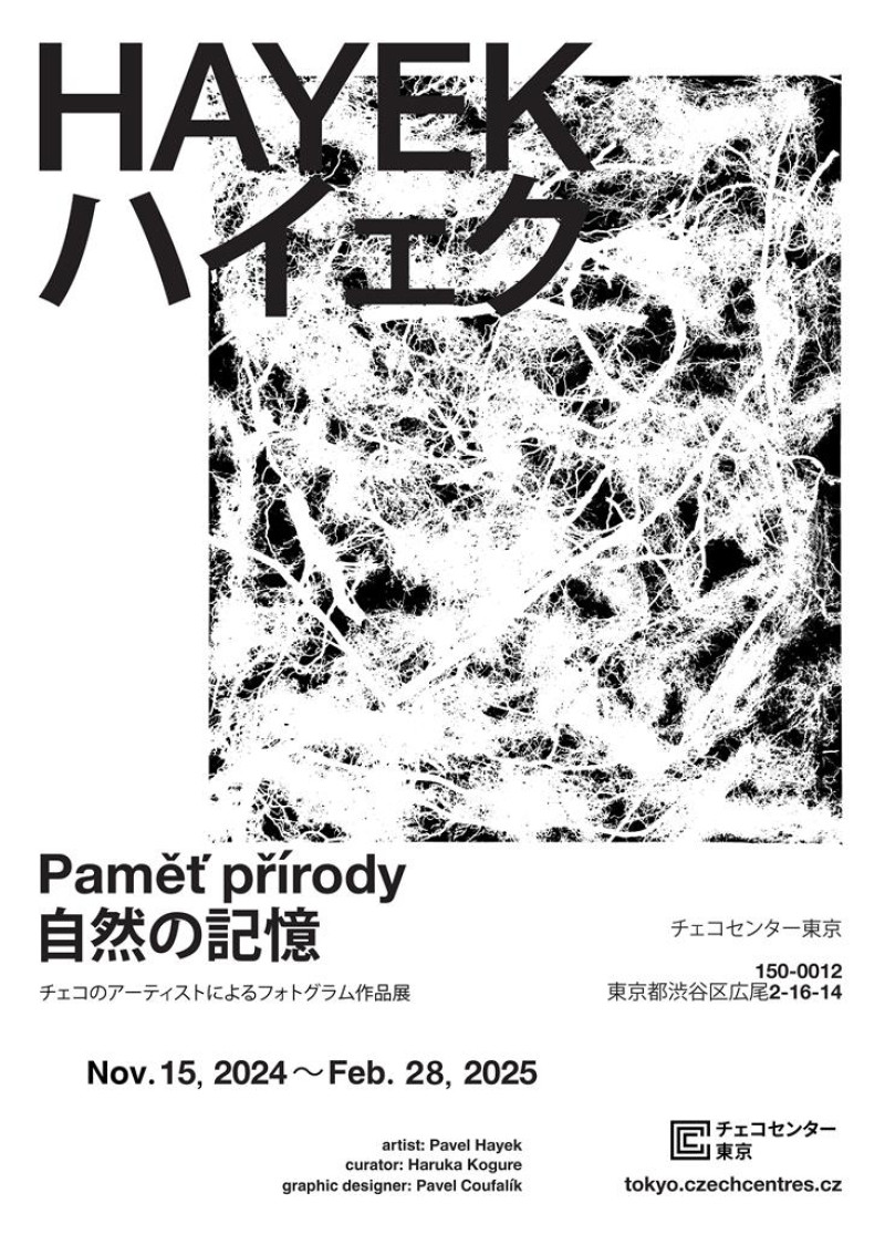 フォトグラム作品展「ハイェク 自然の記憶」 / チェコセンター東京