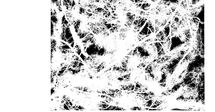 絵画　自然の美しさ・自然のパワーをどうぞ 960px-