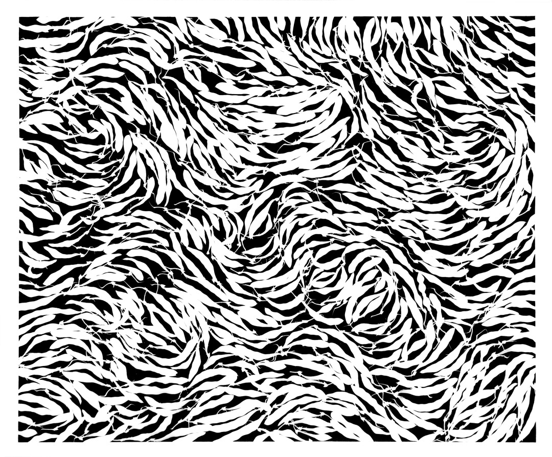 フォトグラム作品展「ハイェク 自然の記憶」 / チェコセンター東京